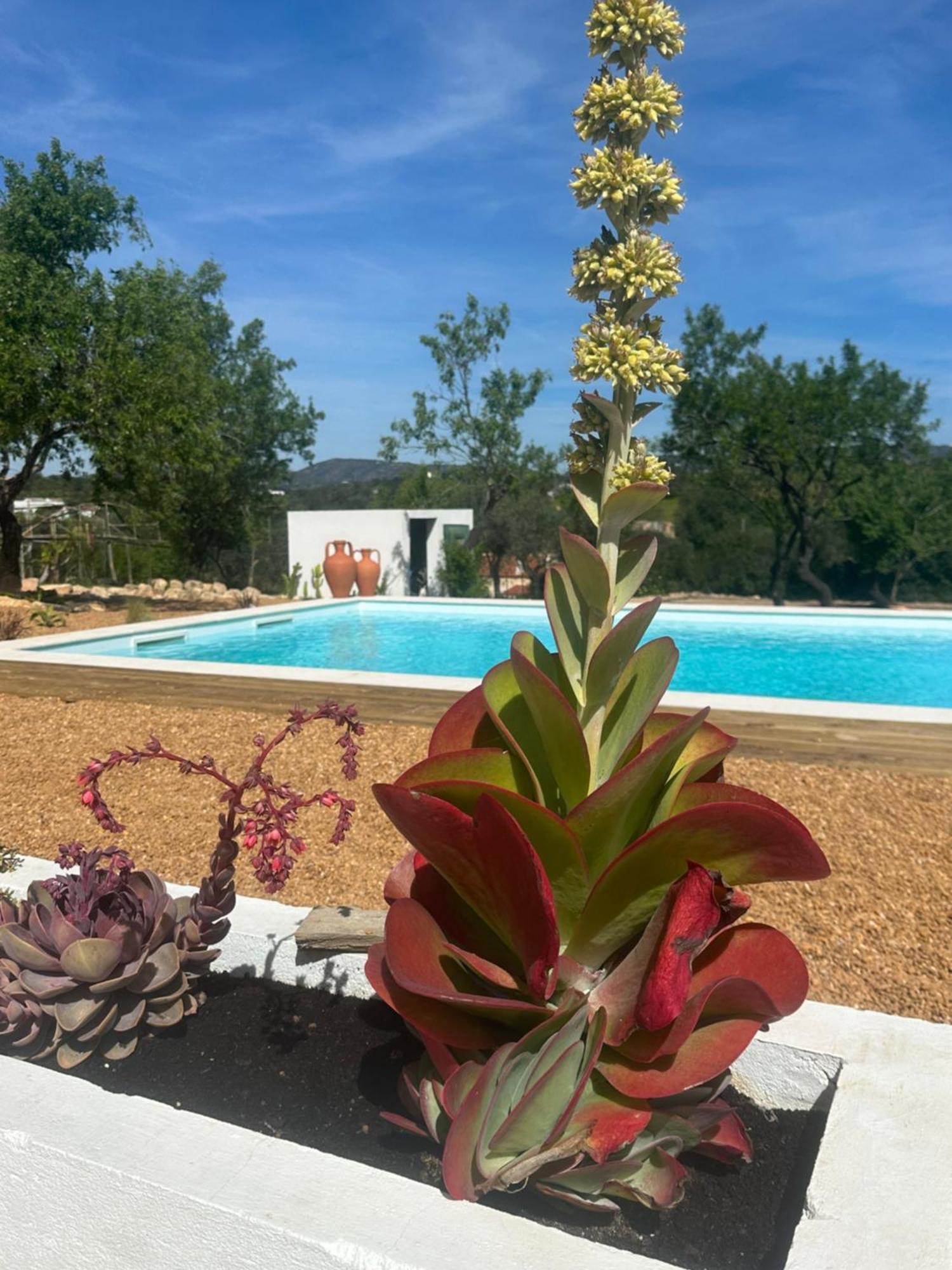 La Quinta Da Liberdade - Ferme De Charme En Algarve Vila Pechão Exterior foto